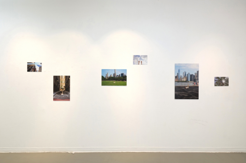 《 If I could stand in the sky... 》王俞晴紐約個展計畫 ｜王俞晴｜國藝會補助成果檔案庫